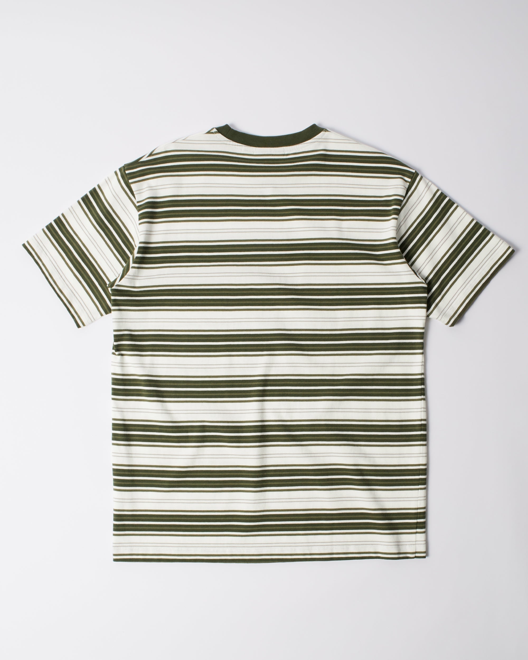 Parra Signature Striped t-shirt green, back view