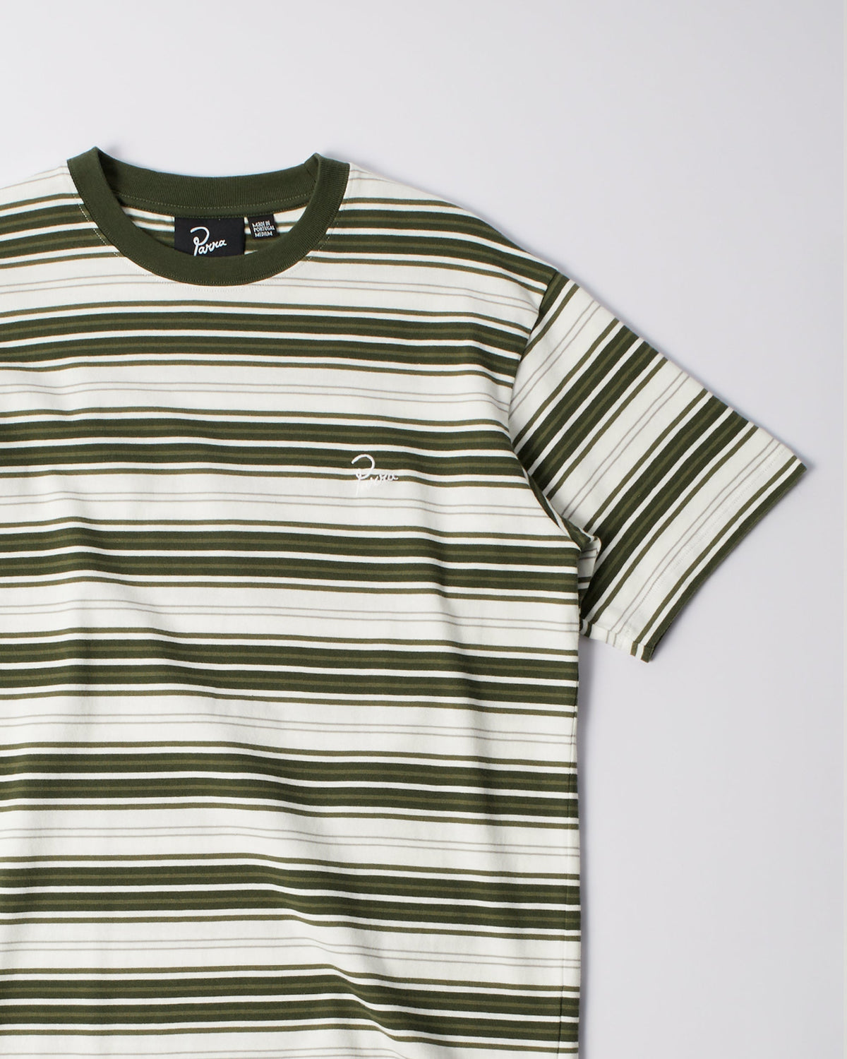 Parra Signature Striped t-shirt green worn on model