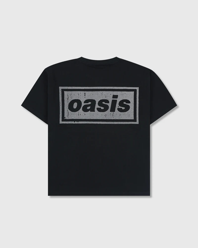 Pleasures Definitely Heavyweight T-Shirt