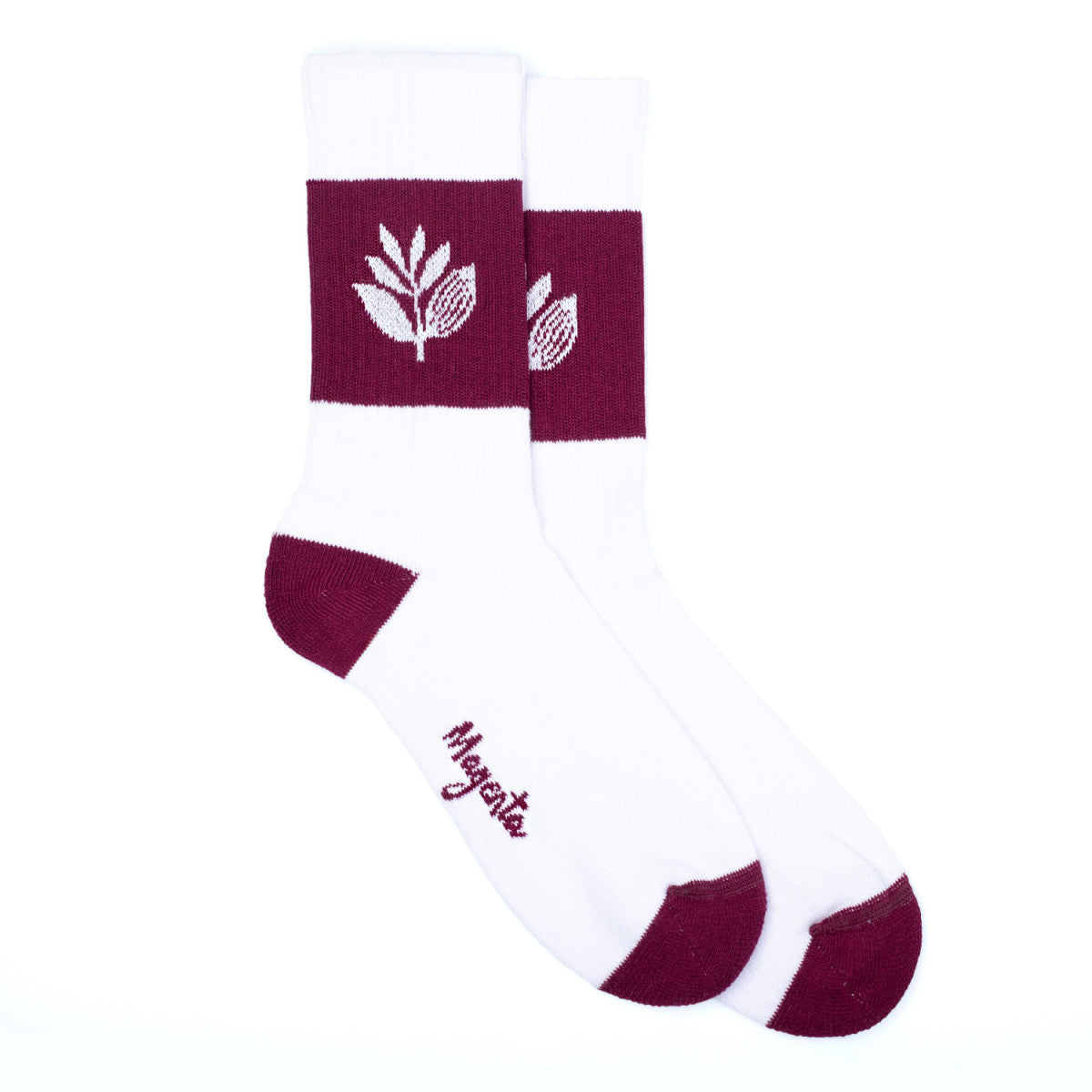 Magenta Stripe Socks White