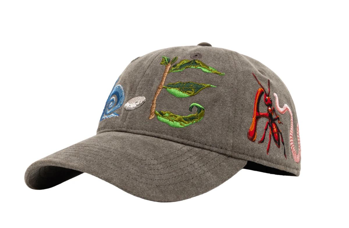 b.Eautiful Critters Low Profile Hat – Washed Brown