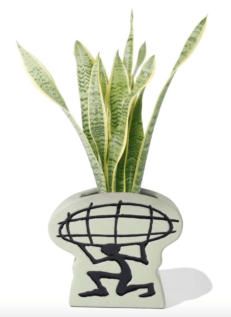 Butter Goods Terrain Vase - Gallery Streetwear