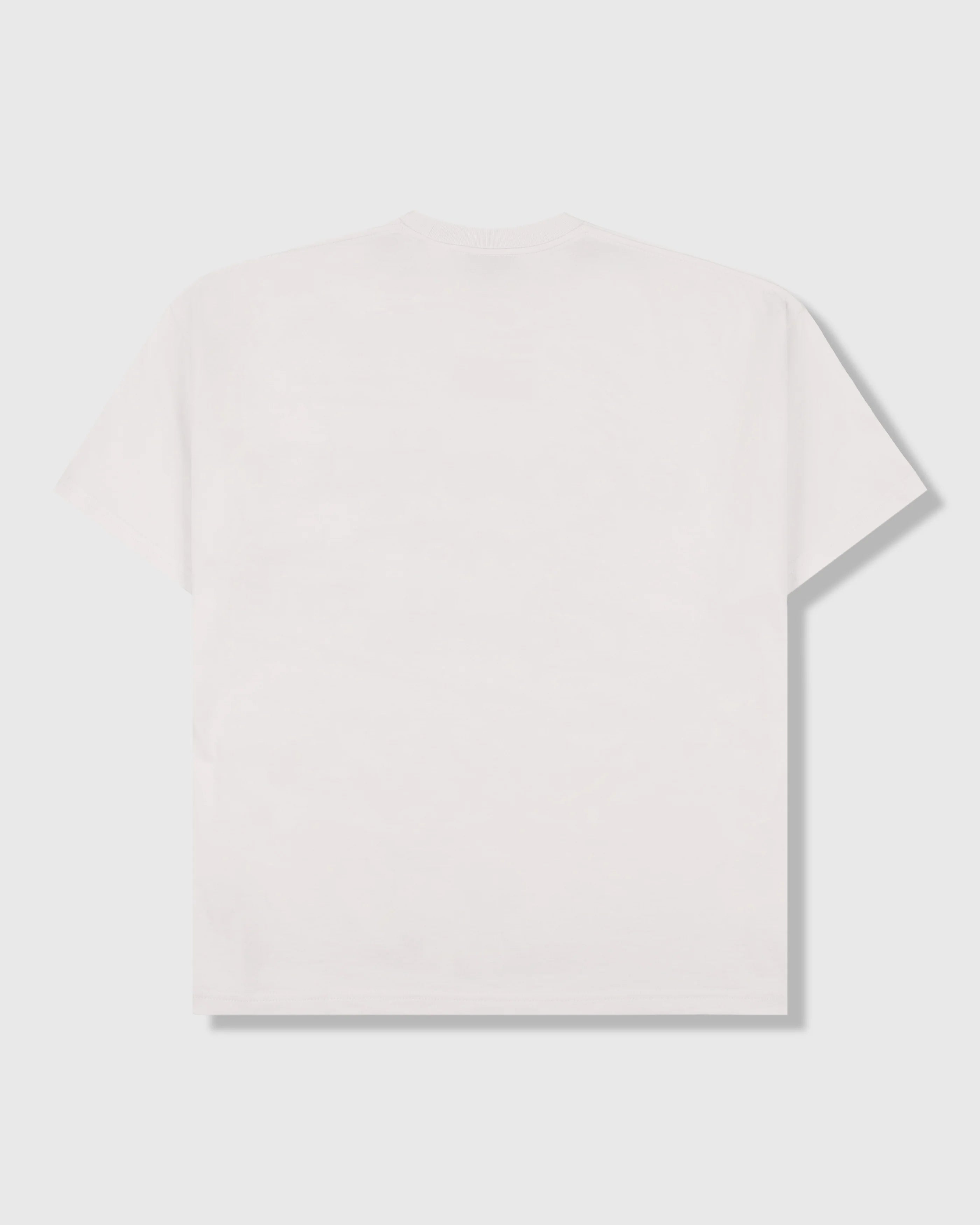 Pleasures Nordique T-Shirt White