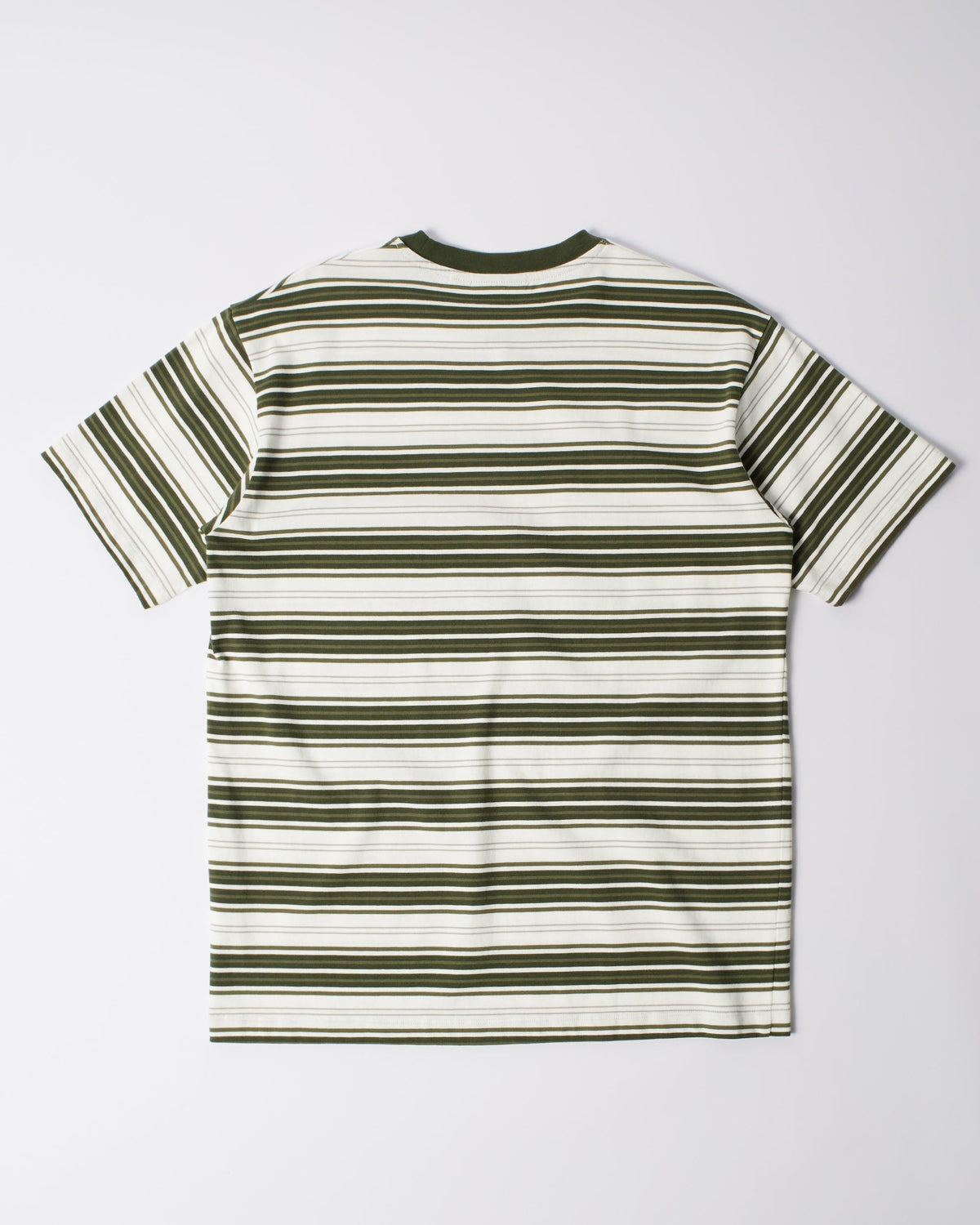 Parra Signature Striped t-shirt green, back view