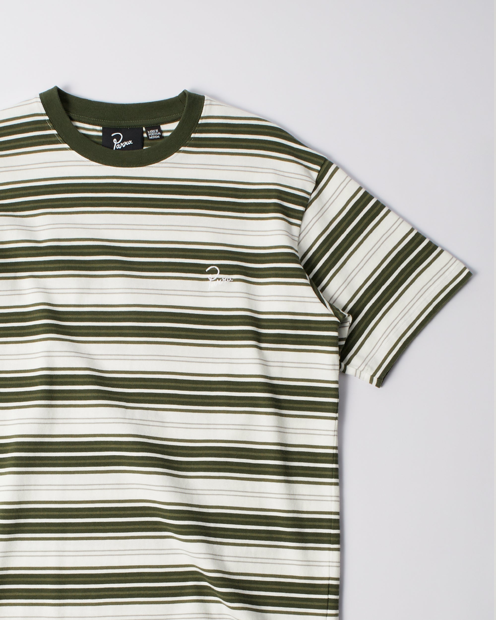 Parra Signature Striped t-shirt green worn on model