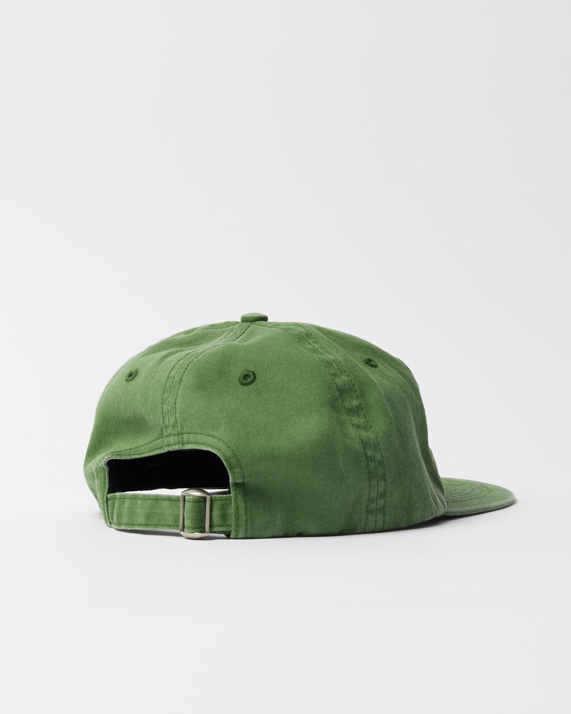 Parra Signature 6 panel hat green — back view