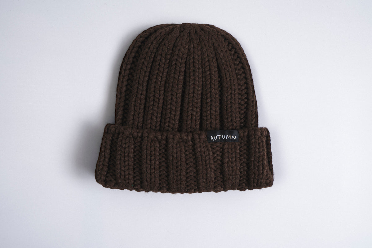 Autumn Thrift Beanie in Brown