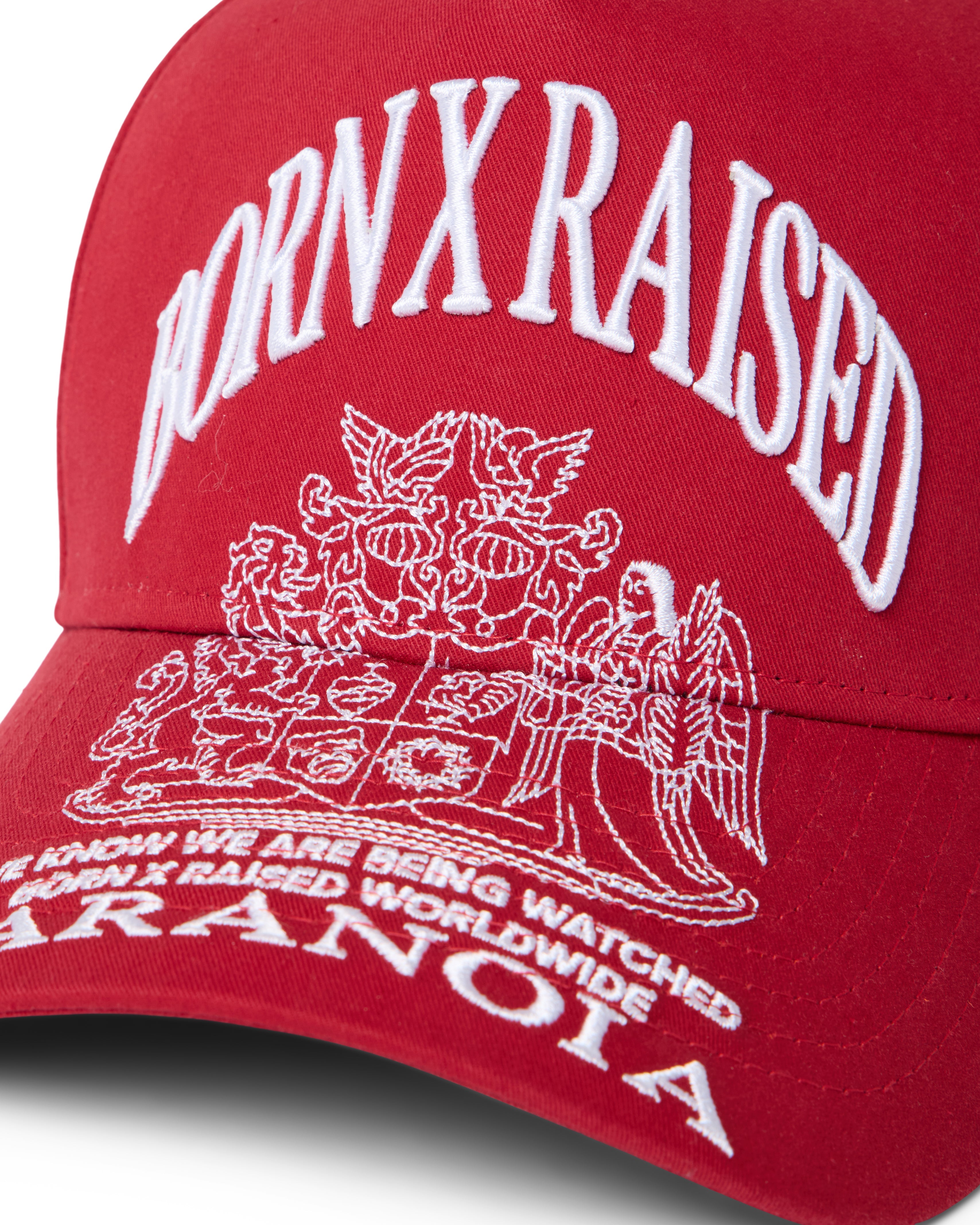 Born X Raised Paranoia Crest Snapback - Cardinal - back