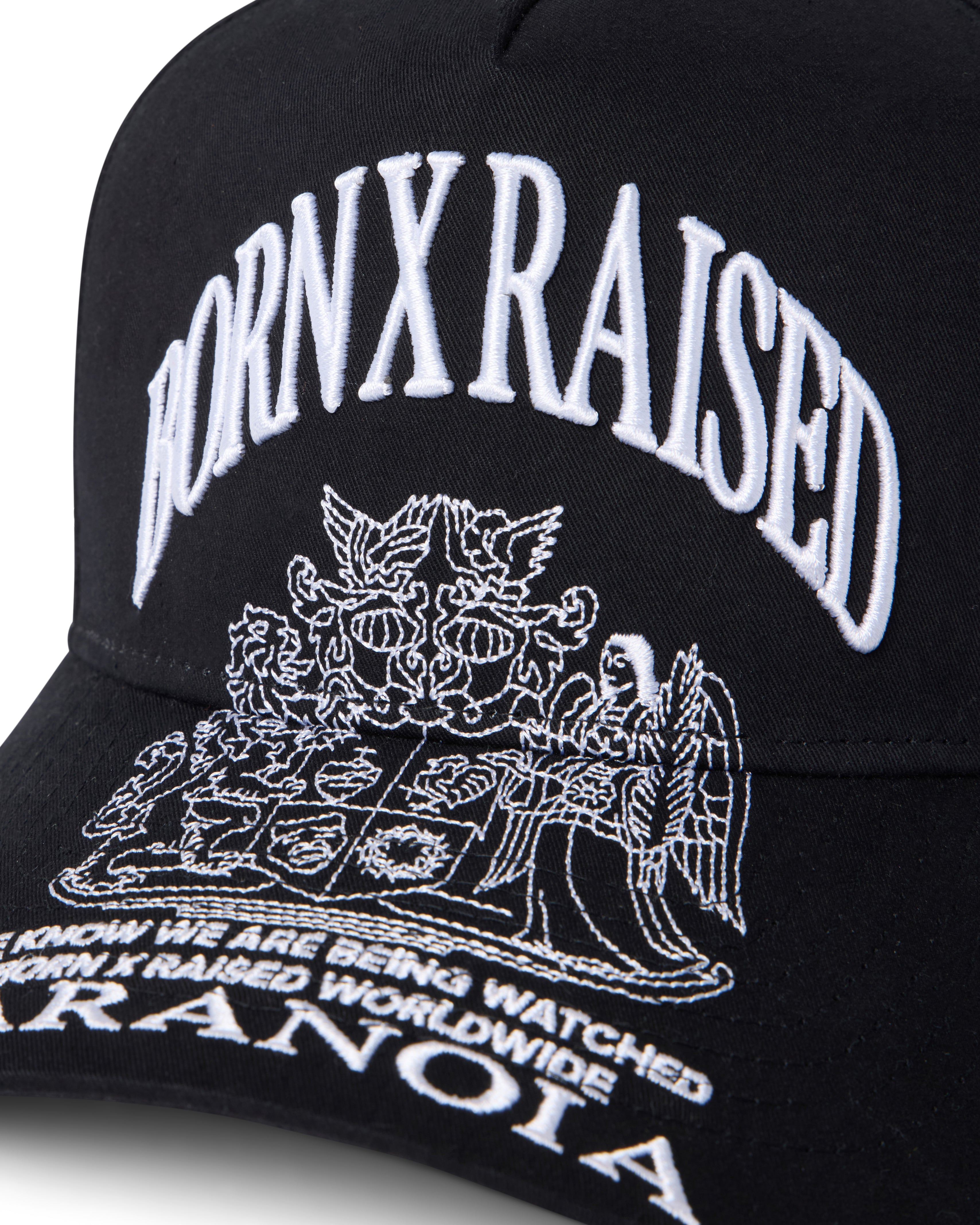 Born X Raised Paranoia Crest Snapback - Black - back