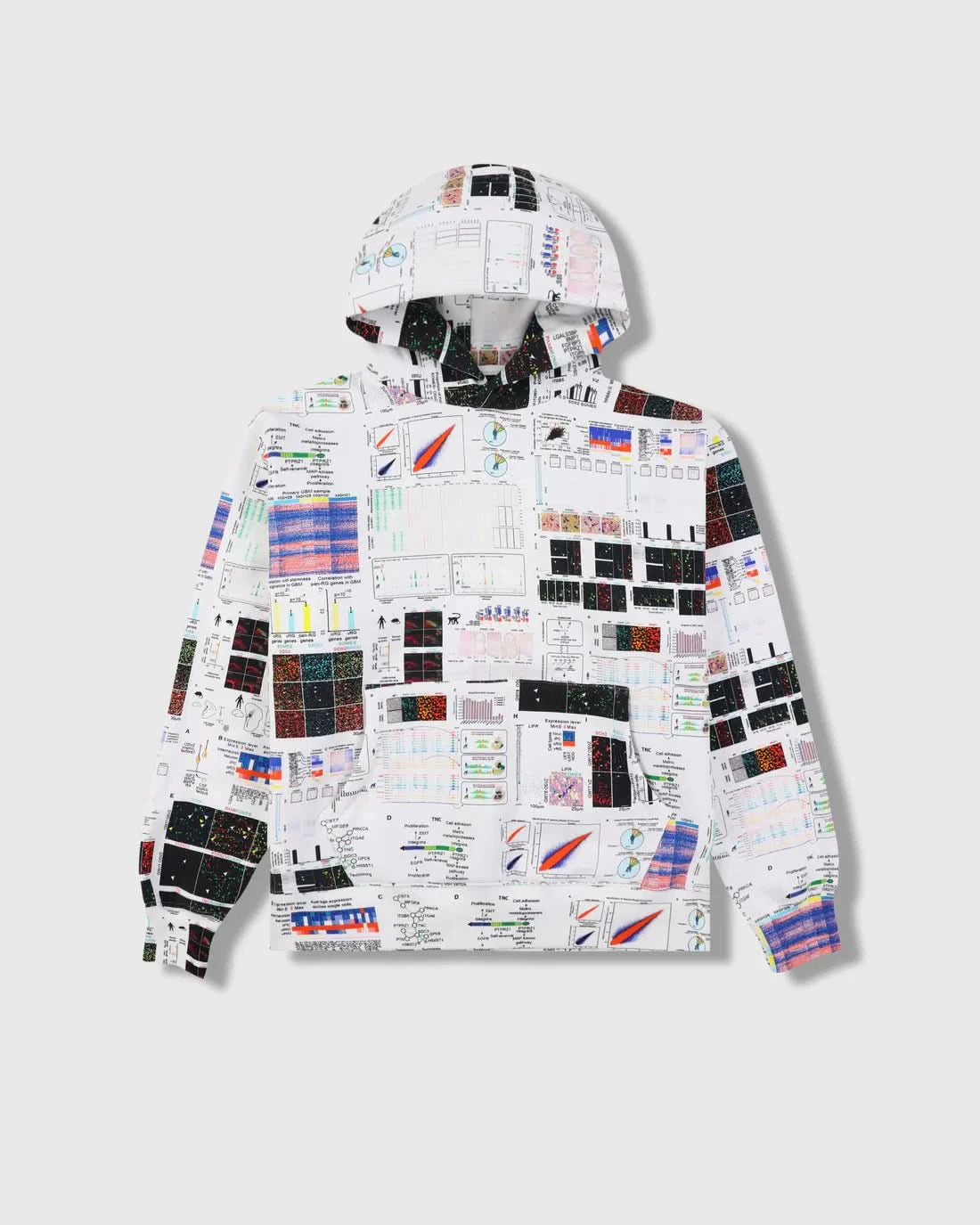 Pleasures Textbook Hoodie