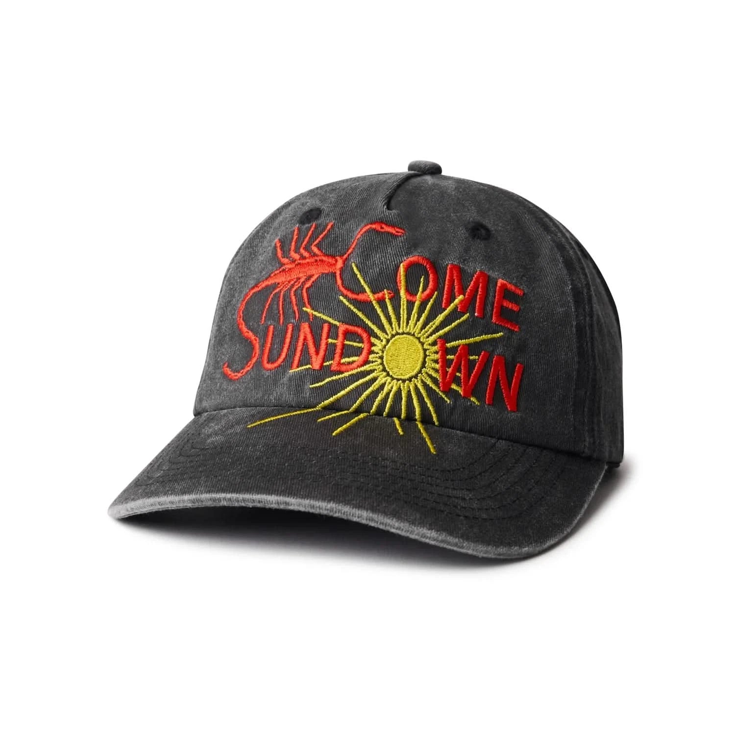 Come Sundown Entomology Cap - Gallery Streetwear