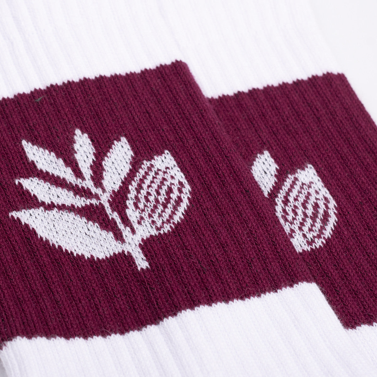 Magenta Stripe Socks White