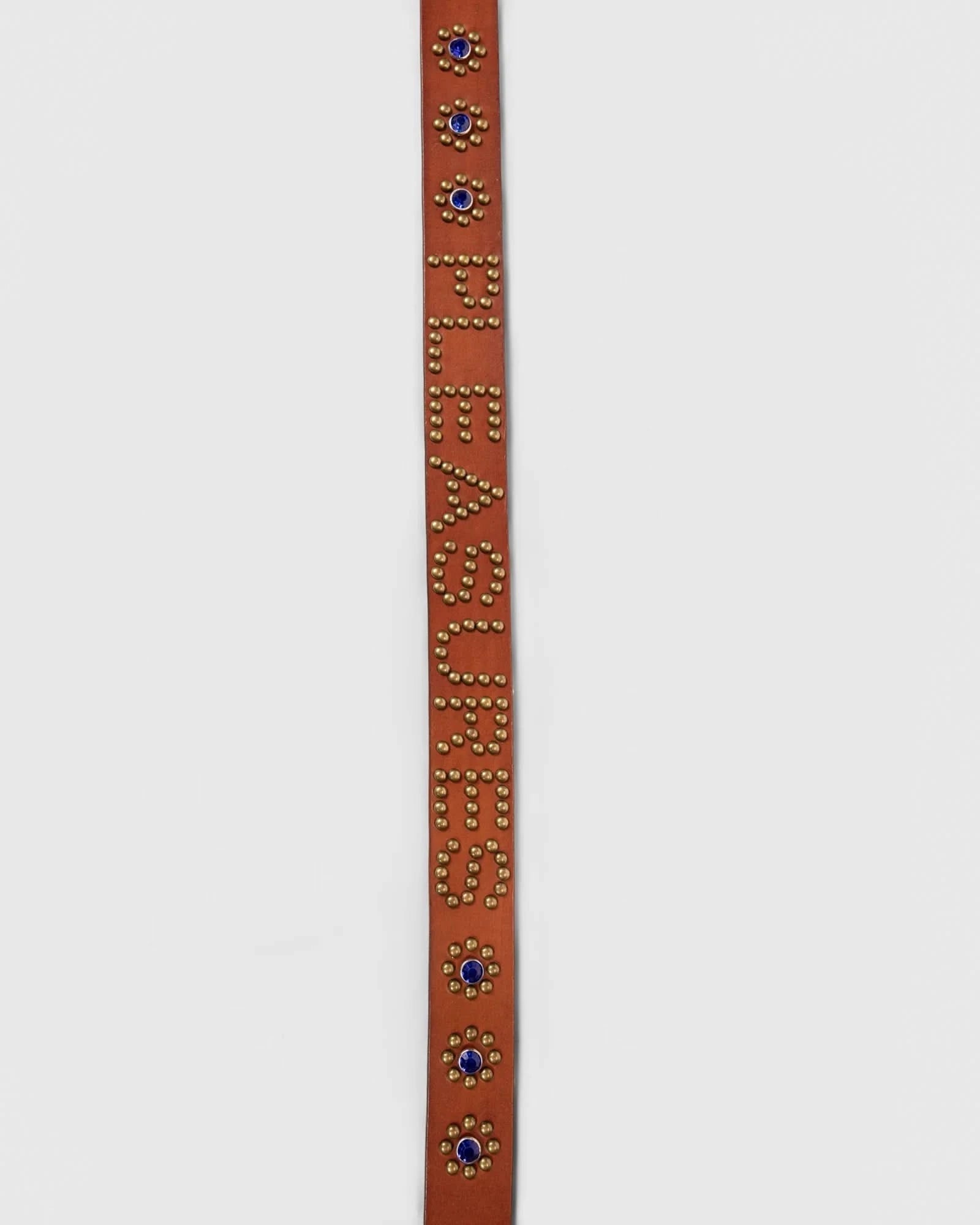 Pleasures Studded Belt - Gallery Streetwear